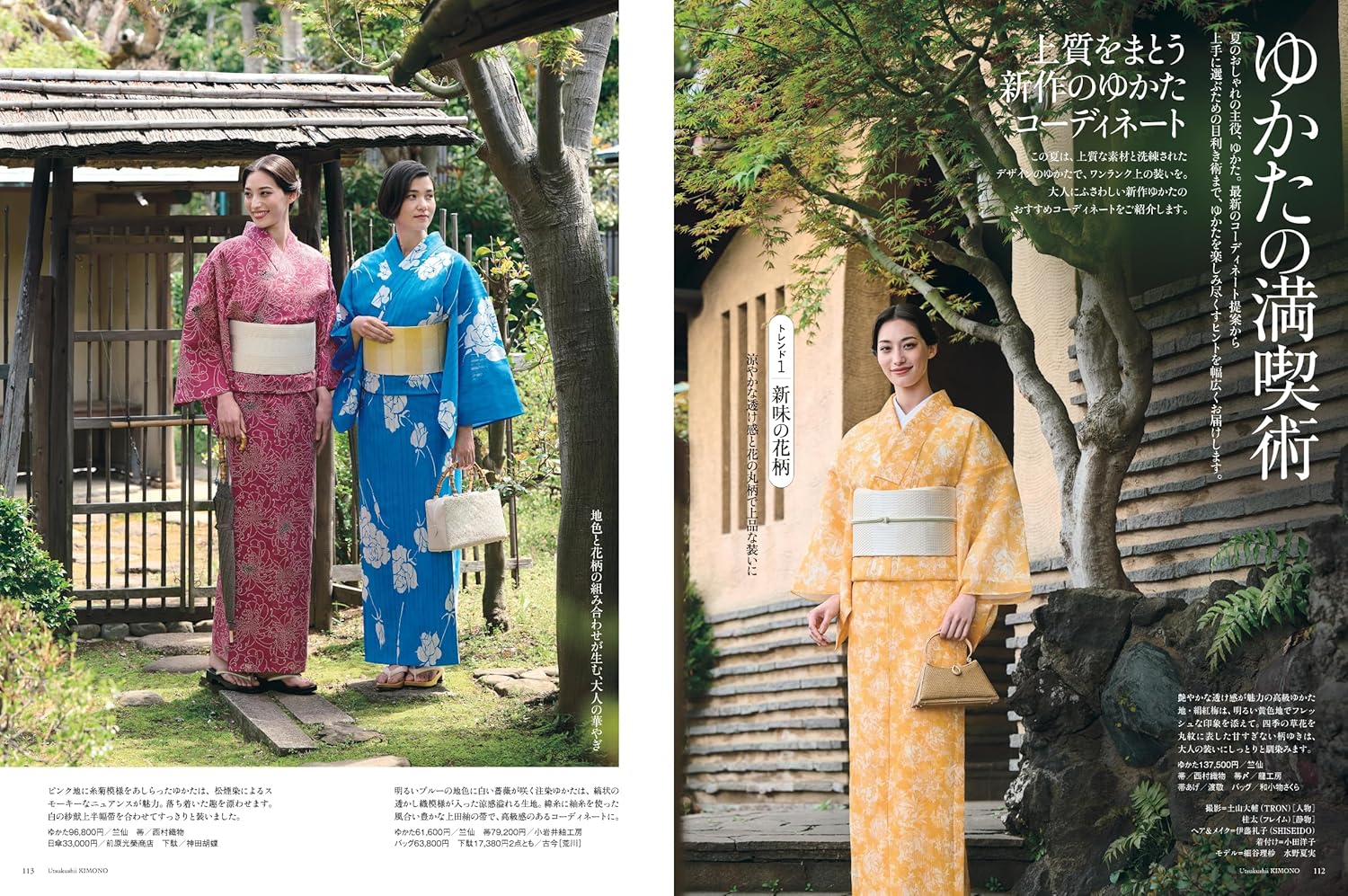 Utsukushii Kimono 2025 Summer - Image 5