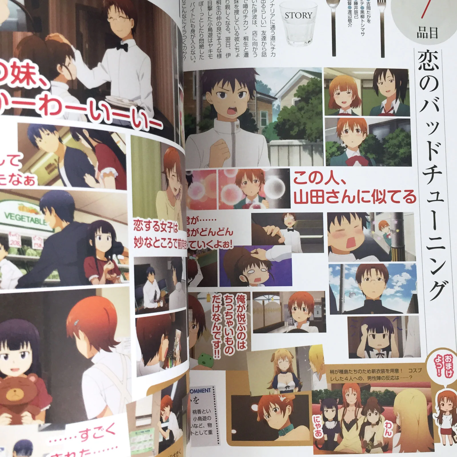 Working!! Official Fan Book SPECIAL MENU - Image 8