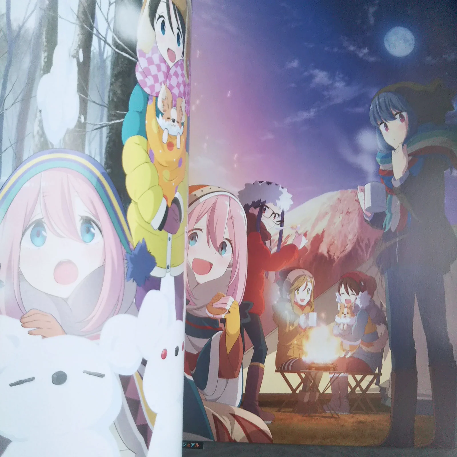 Yuru Camp Daikaibou (Laid-Back Camp Yurukyan) - Image 4